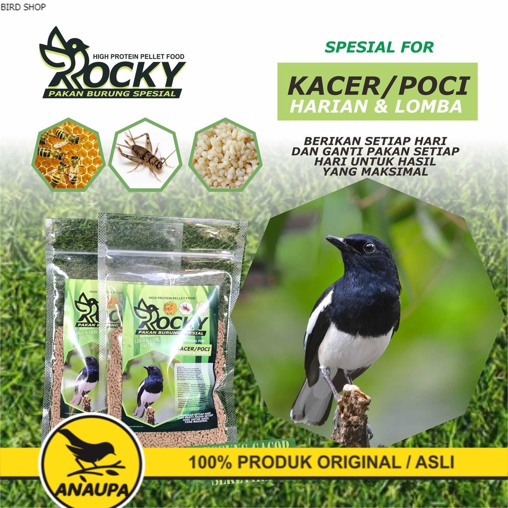 MAKANAN BURUNG KACER POCI CENDET MURAI DLL ANTI STRESS