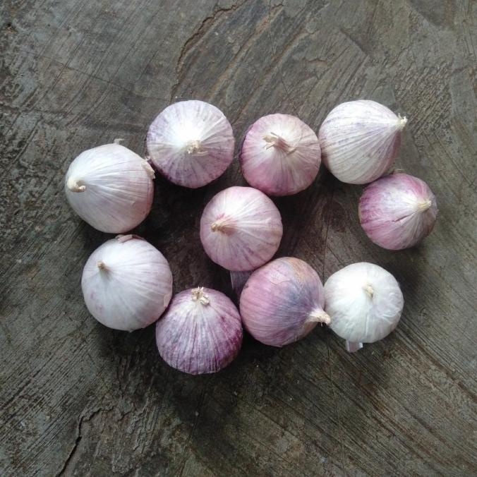 

Bawang Putih Tunggal/Lanang 1 KG - Besar