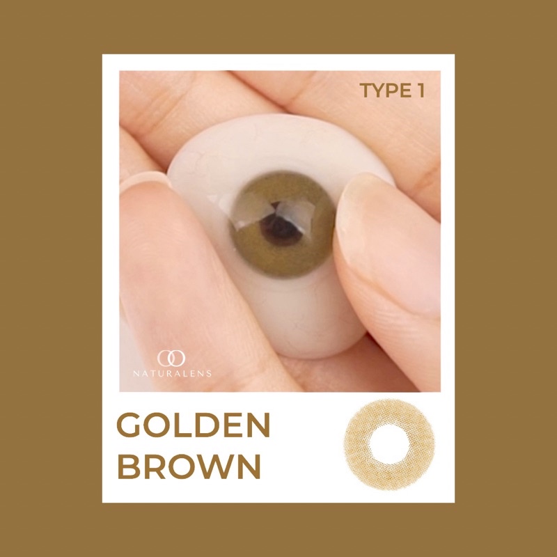 Naturalens Golden Brown Softlens Biomoist (0 sd -10) Contact Lens