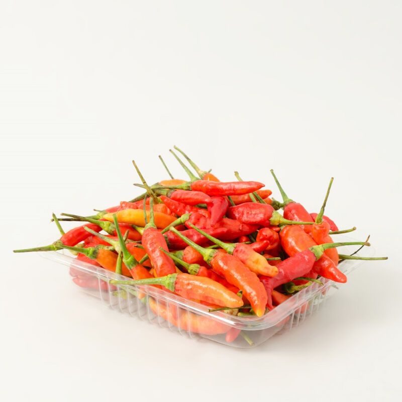 

Cabe Rawit Merah Cengek Domba 200 gram SAYUR PRAKTIS ONLINE BANDUNG
