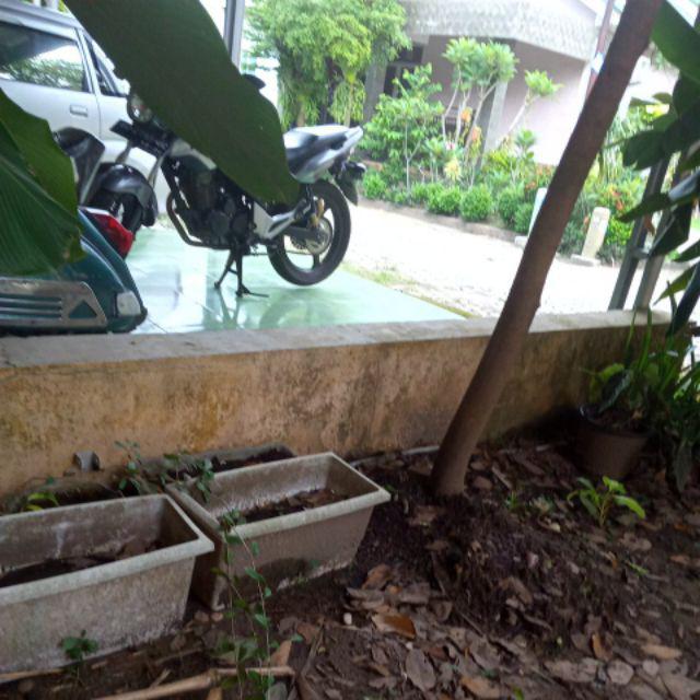 Pupuk Organik Kotoran Kambing Kering