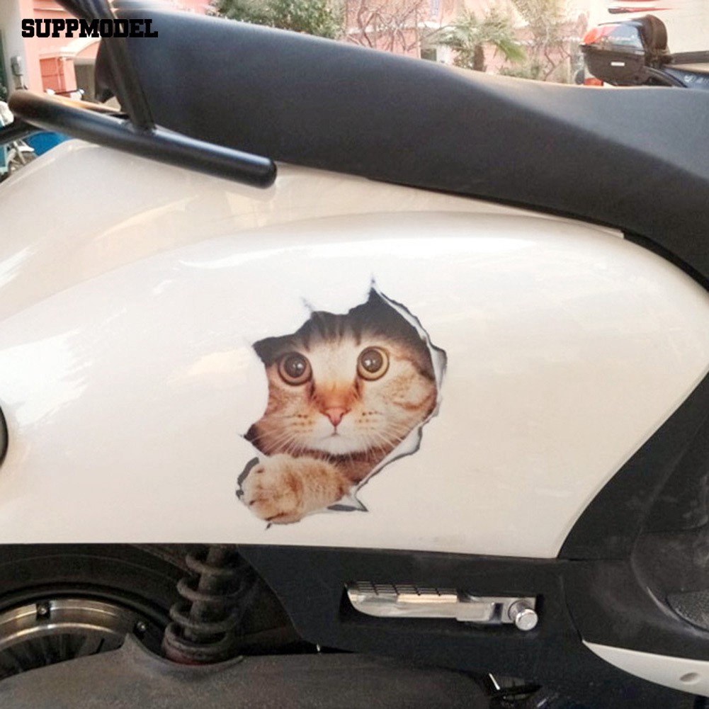 Stiker 3D Motif Kucing Mengintip