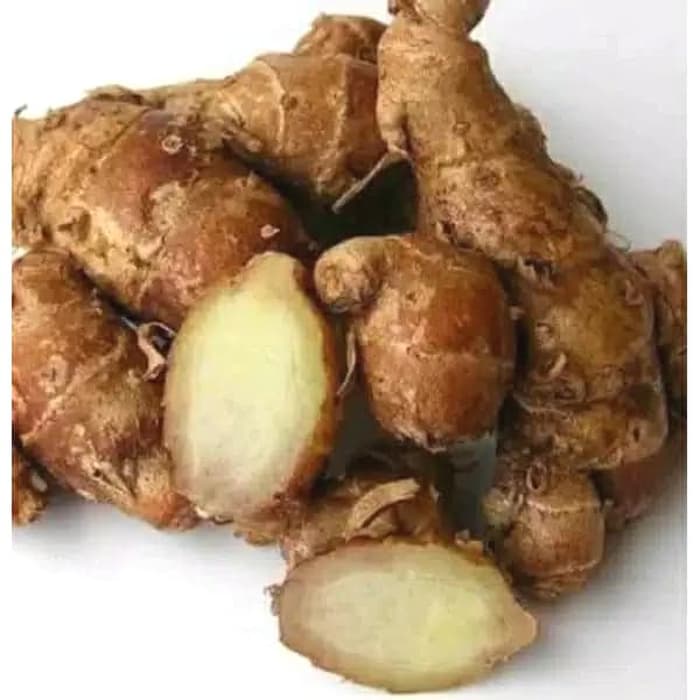 

[ PROMO ] Kencur/cikur segar 1kg