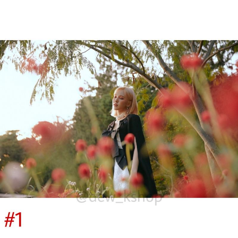 POSTER Red Velvet (WENDY) - [‘The ReVe Festival’ Finale] Teaser Image Day Ver.)