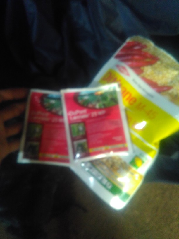 Obat Ulat Penggerek Batang Dan Belalang Lannate 25 Wp Kemasan 15 Gram