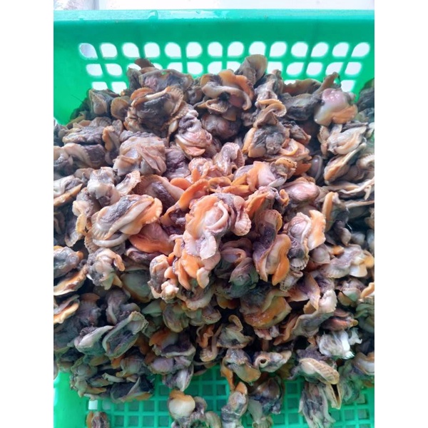 

Kerang