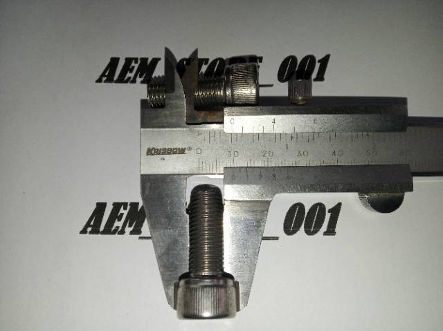 Baut L M10 x 25 (2,5cm) drat halus 1.25 stainless 304