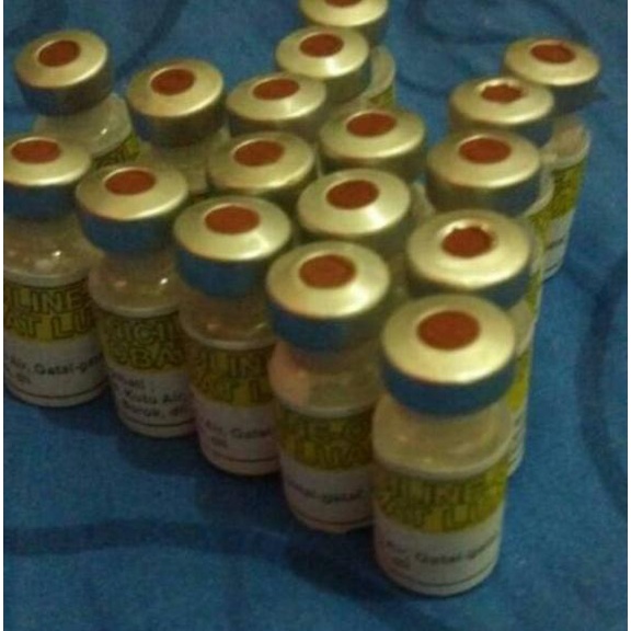 (PROMO ZQ037) Piniciline oile - Pinisilin - Pinisilin Obat Luar Anti Bakteri ✷