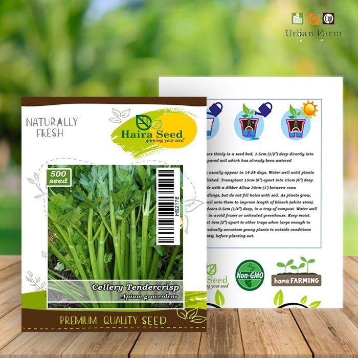 Bibit-Biji Seledry Tendercrisp (Haira Seed)