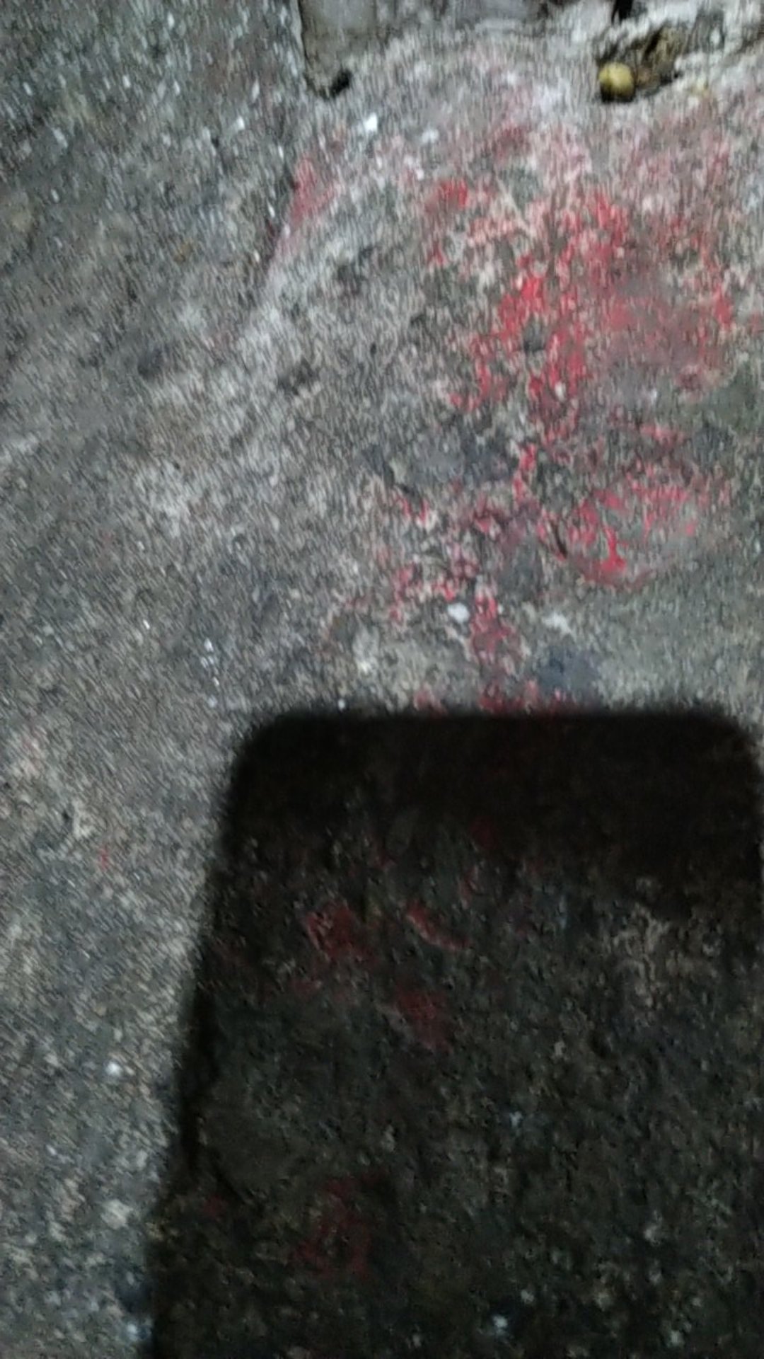 Pisau Kupas Kulit Sayur Buah Peeler Keramik Ceramic Peeler Pisau Sayur Buah