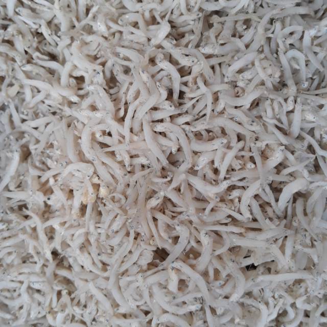 

Teri toge super asli dan enak 250gr, 500 gr dan 1000 gr