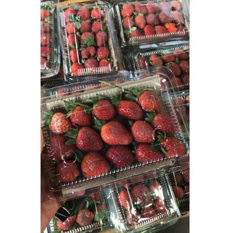 buah strawberry organik