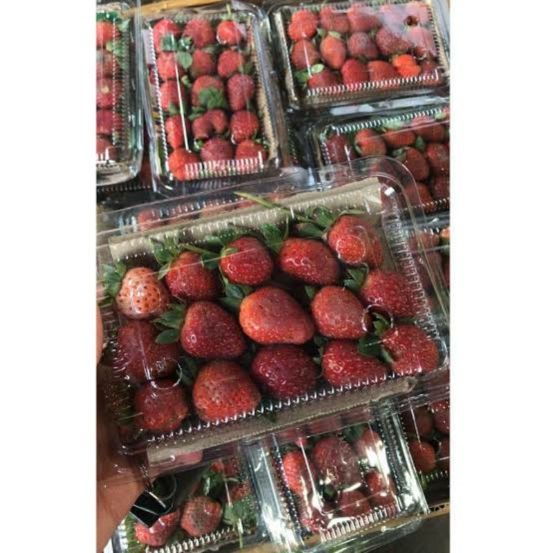 buah strawberry organik 1pcs