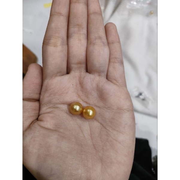 mutiara air laut gold