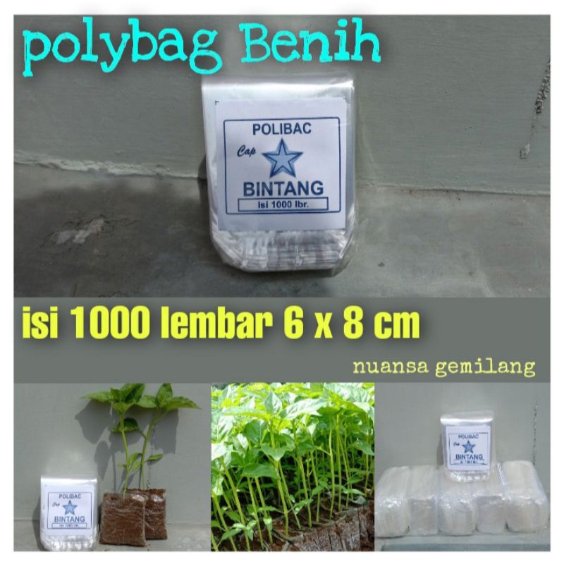 Polybag benih Polybag semai Polybag kecil isi 1000 lembar