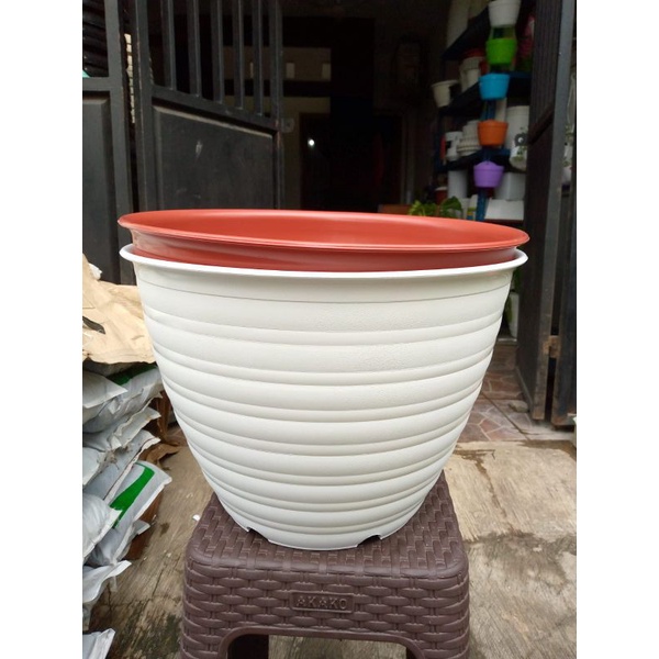 POT BUNGA TAWON UKURAN 40CM / POT TAWON JUMBO WARNA 40CM