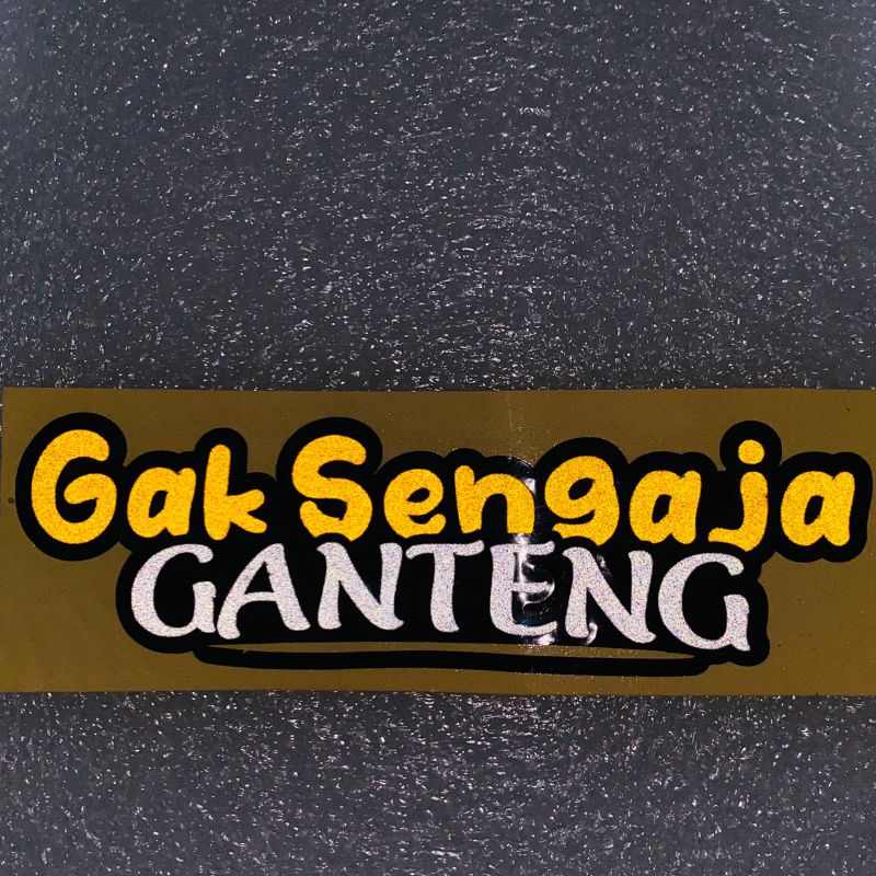 Stiker gak sengaja ganteng cuting sticker 1pcs