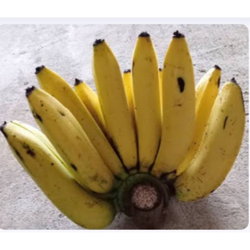 

Pisang Ambon segar fresh