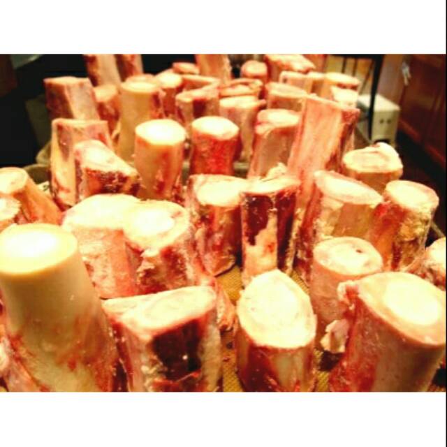 

Tulang sum-sum bone marrow