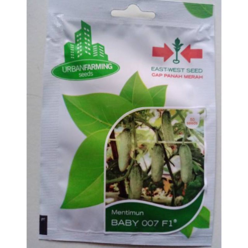 Benih/Bibit Mentimun Baby 007 F1