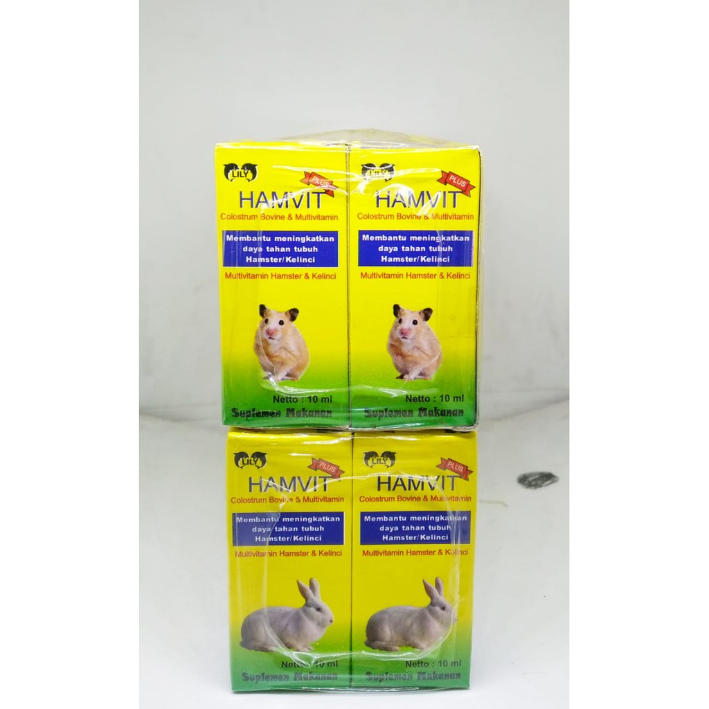 Hamster 10 комбо. Special Hamster Conference карточка