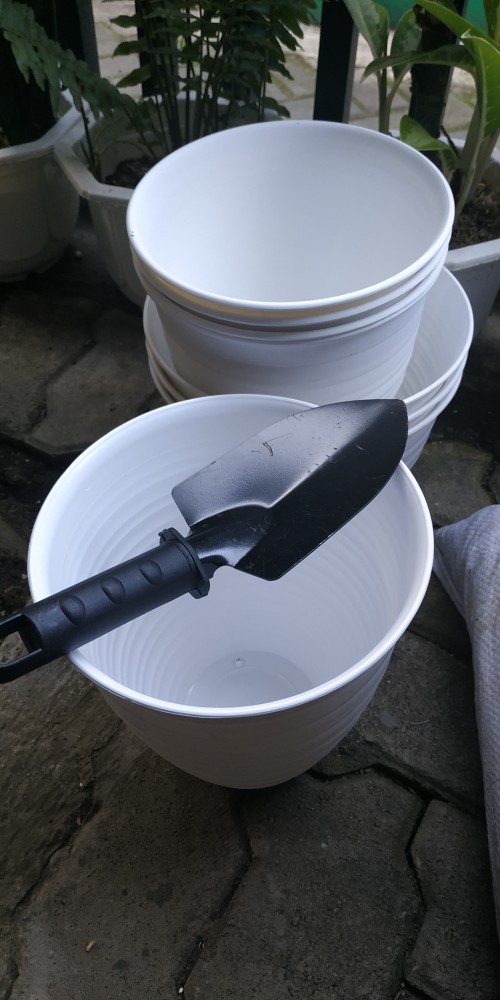 21cm Pot Tawon 21 Budi Jaya