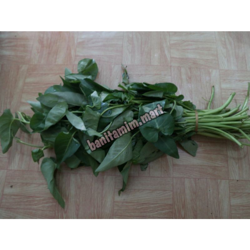 

KANGKUNG SATU IKAT BANDUNG