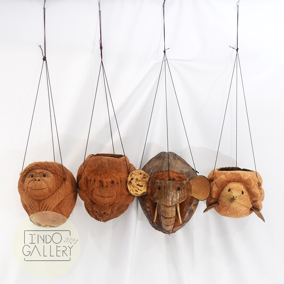 POT BUNGA UNIK KARAKTER / POT BUNGA BATOK KELAPA RANDOM / BATOK KELAPA