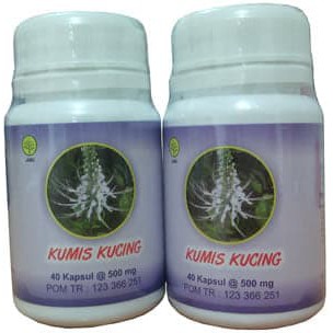 KUMIS KUCING (Obat Herbal Kapsul)