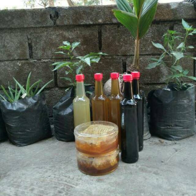 

MADU HITAM (TRIGONA KLANCING)