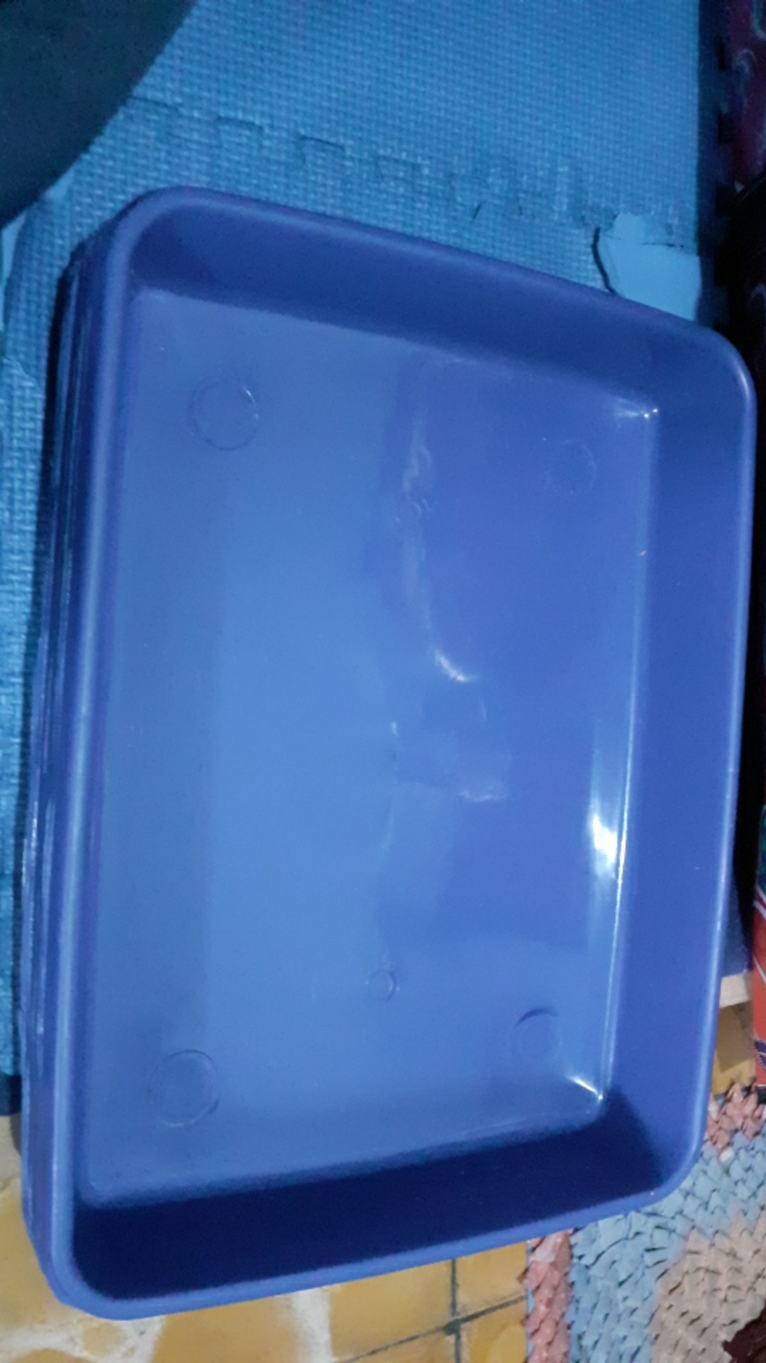 Nampan Plastik Tempat Saji No.3 Dx Citra(set Isi 6 Pcs)