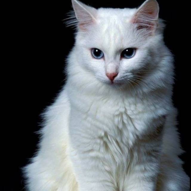 f060613172428121999_.