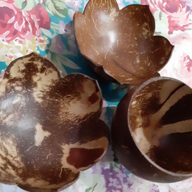 Mangkok Batok Ceper Mangkok Batok Kelapa Lepek Bunga Mangkok Batok Natural Unik