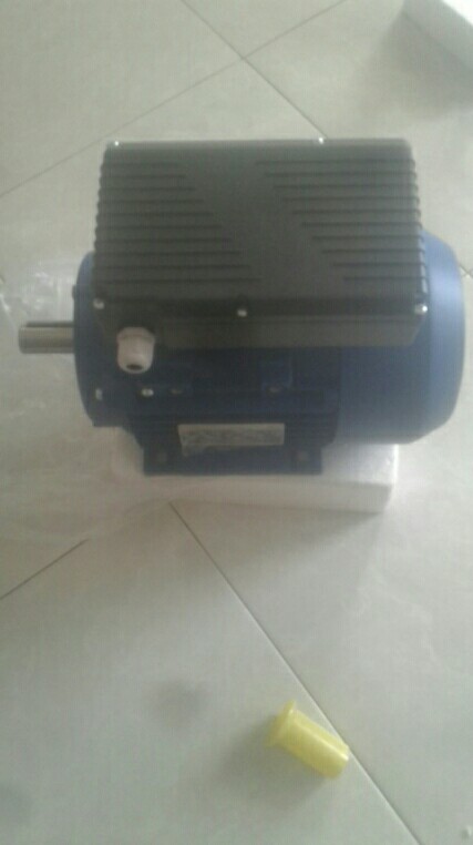 Alliance Motori Electro Motor Dynamo Dinamo A-yl 1.5 Hp 1.1 Kw 1500 Rpm B3 Import Sparepart Industri