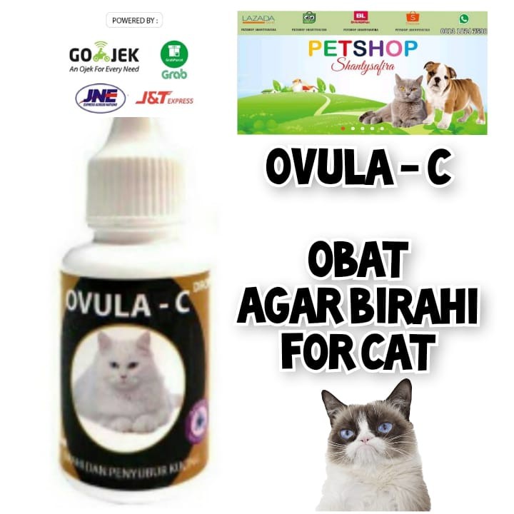 OVULA-C OBAT AGAR BIRAHI FOR CAT