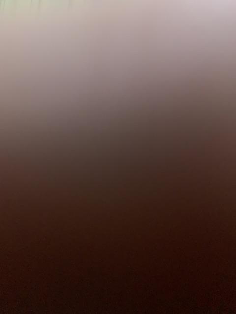 Miniso Cetakan Es Popsicle Ice Cream Mold Rabbit