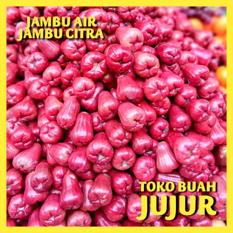 

JAMBU AIR JAMBU CITRA FRESH 1KG