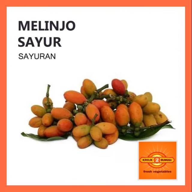 

Biji melinjo