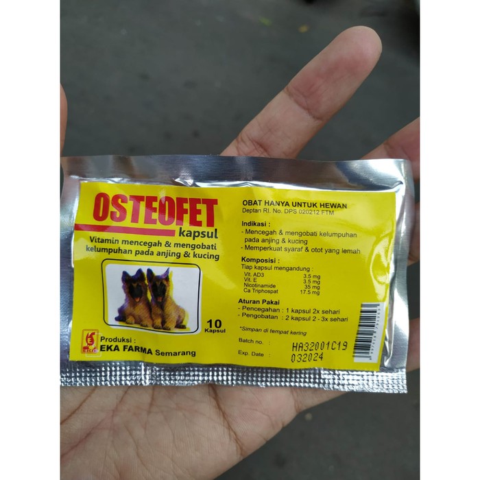 ASR241 Osteofet Kapsul - Obat Lumpuh Anjing Obat Syaraf Kucing Vitamin Syaraf