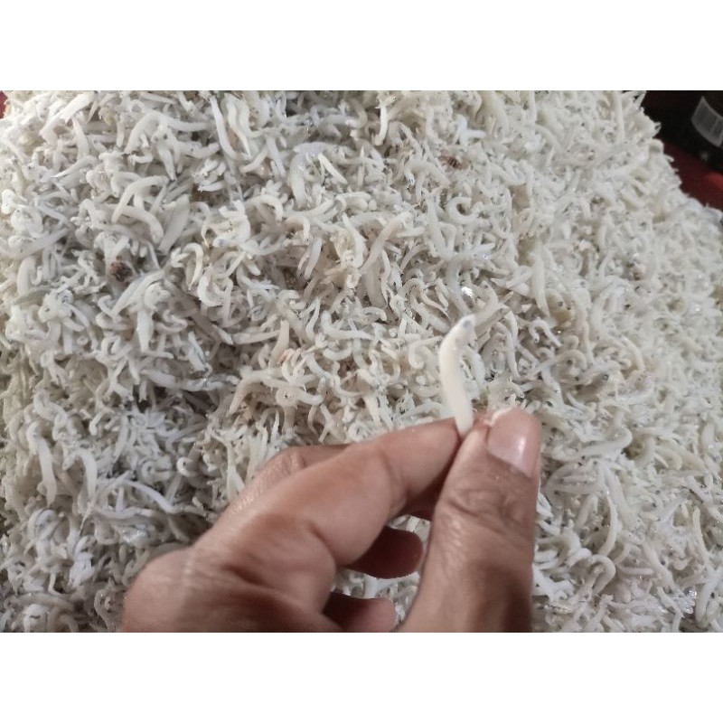 

Ikan Teri Medan Kering Super Premium 250 gram tanpa formalin
