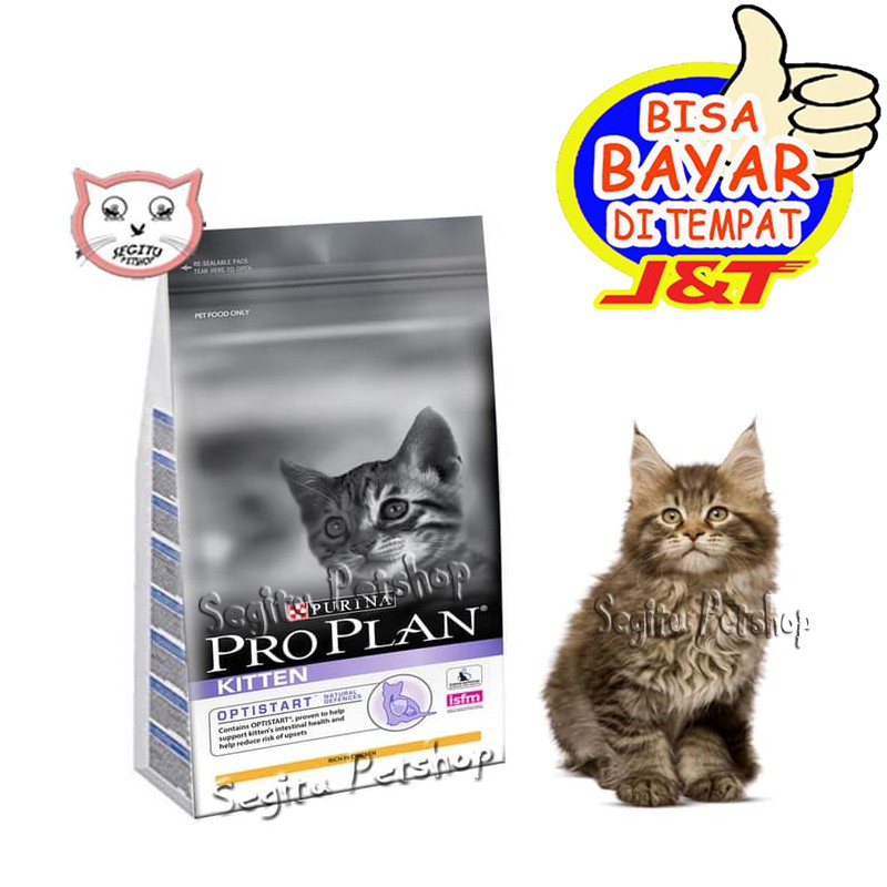 Makanan Anak Kucing Kecil Proplan Cat Food Penggemuk Kitten 2,5KG