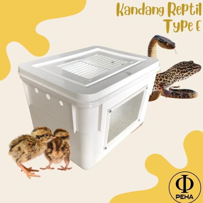 ] Kandang Reptil Box Anakan Burung Boks Terarium Reptil Ular BD Type E