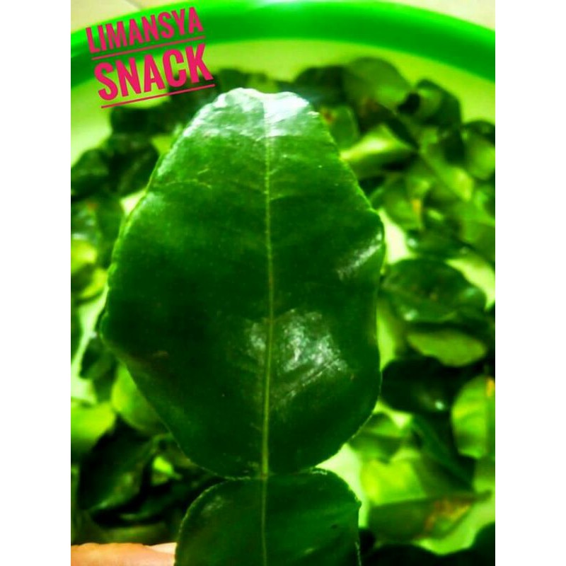 

DAUN JERUK BUBUK | BUMBU MASAK | JERUK PURUT