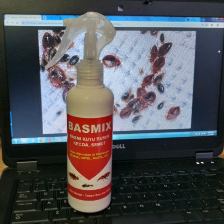 ✶ Racun Pembasmi Kutu Busuk Kutu Kasur Obat Paling Ampuh Tumbila Kepinding Tinggi Kupret Kecoa Semut