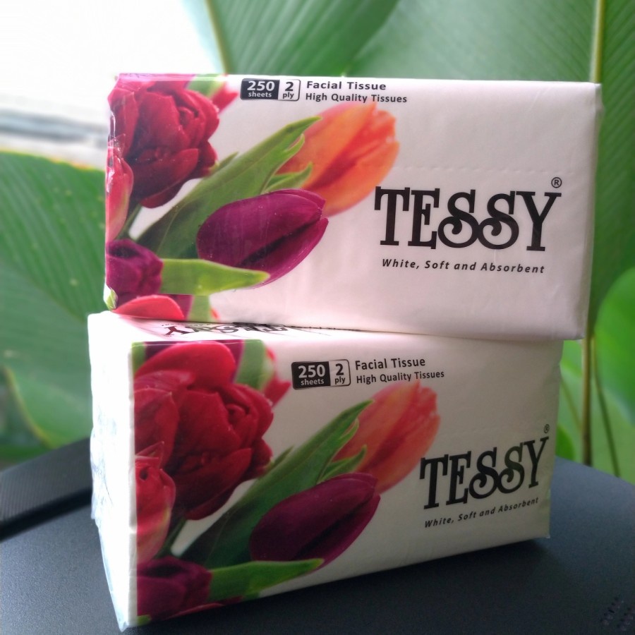 TISSUE TESSY TYSSUE SOFTPACK 250'S TESSY (2 PLY) / TISSUE FACIAL TESSY TISYU TISU