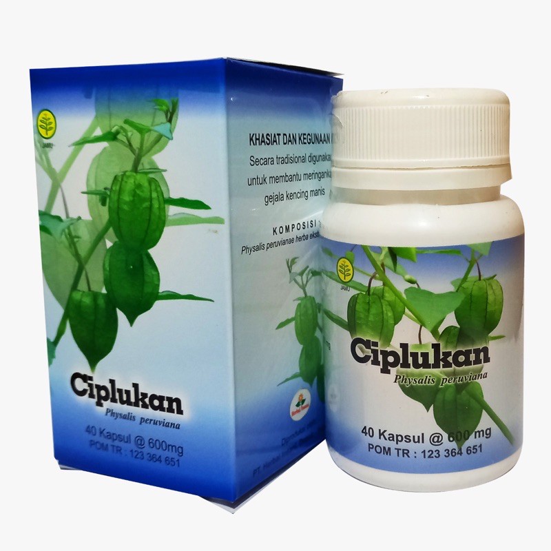 

Obat Herbal Ciplukan | Herbal Insani