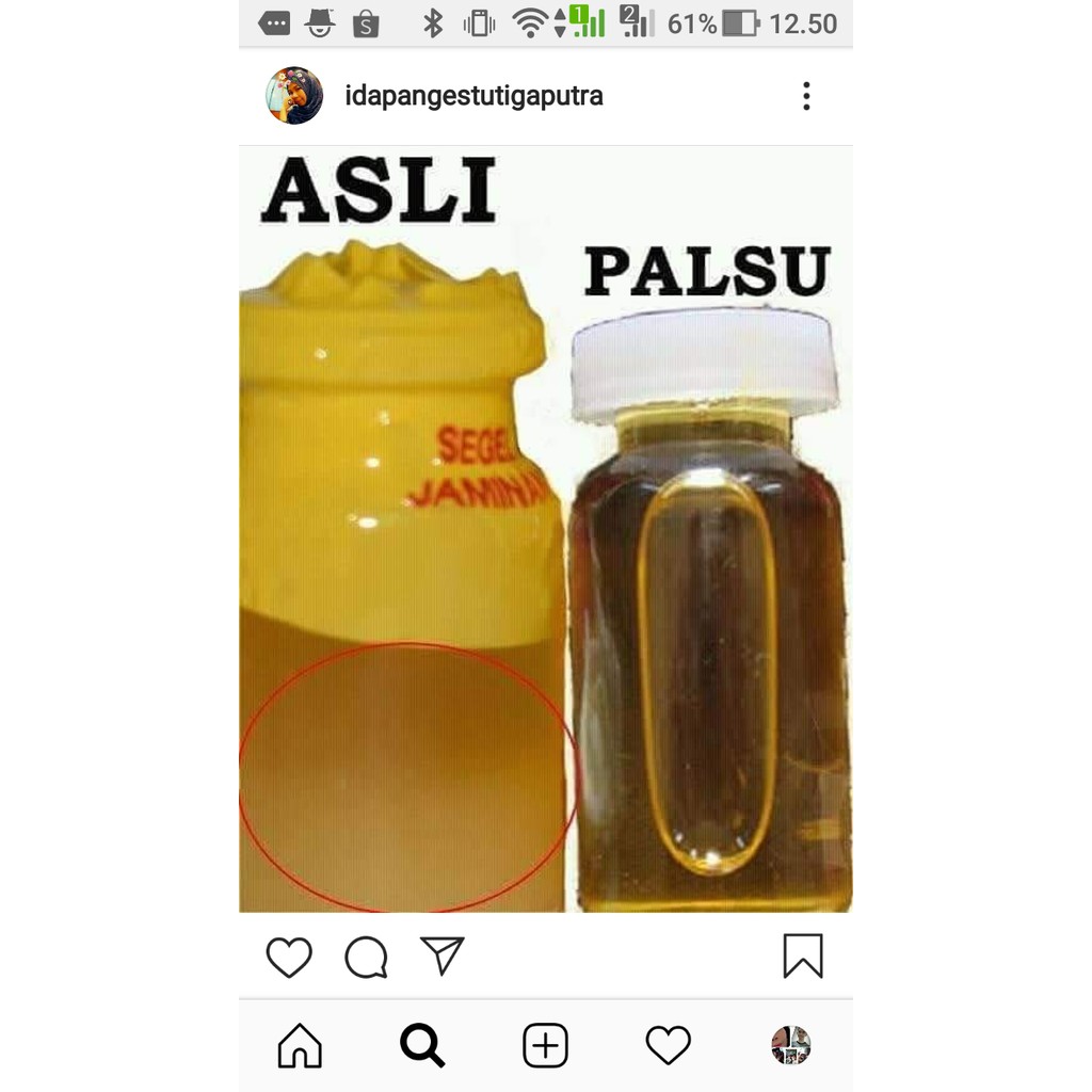 MINYAK BULUS ASLI