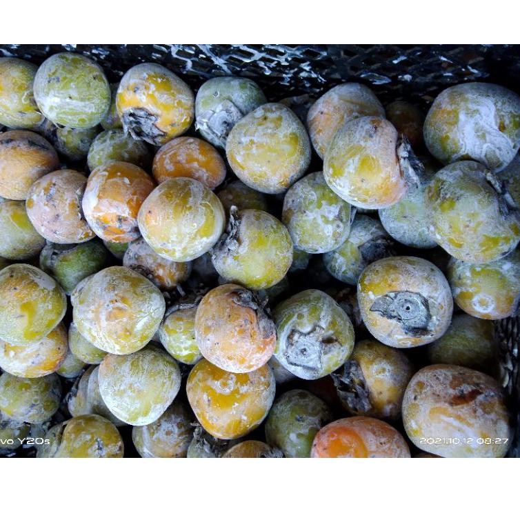 ➱Sale✭ YAZUS BUAH KESEMEK , PERSIMMON, APEL GENIT, LOKAL berat 1 kg. Pengiriman dari Medan 99 ➱Laris