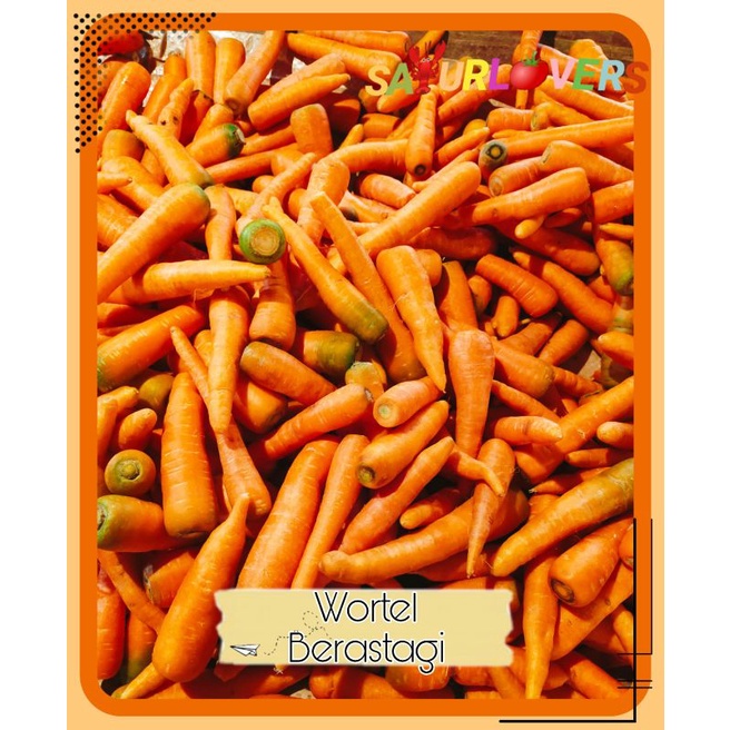 

Wortel Berastagi SayurLovers