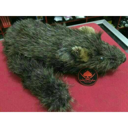 alat sulap boneka racoon